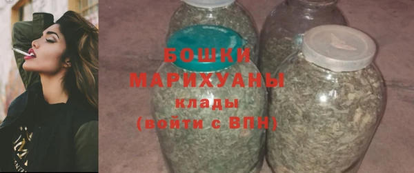 шишки Богородицк