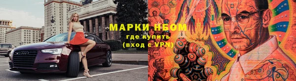 шишки Богородицк